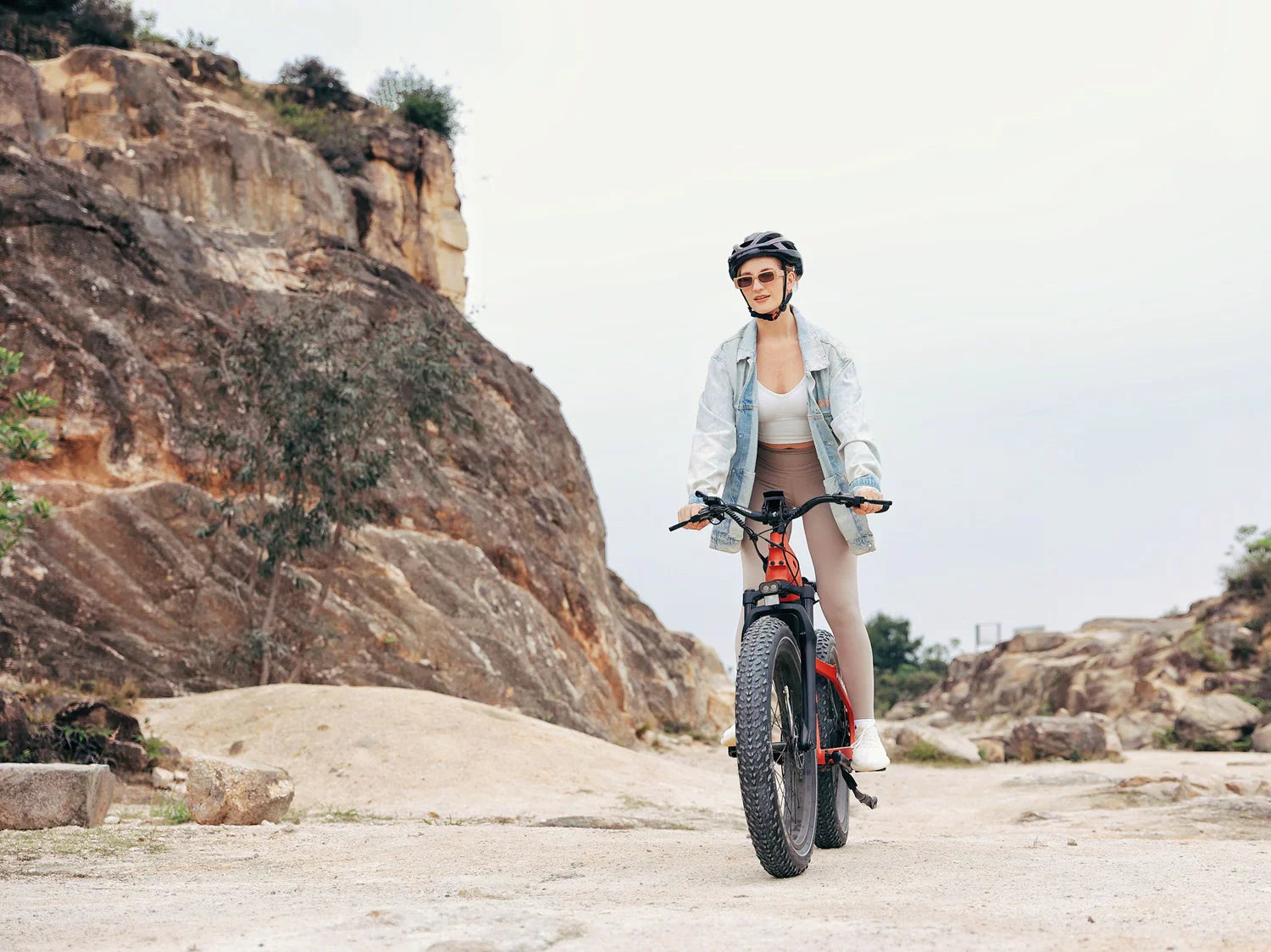 Freedare smart fat tire eden electric bike