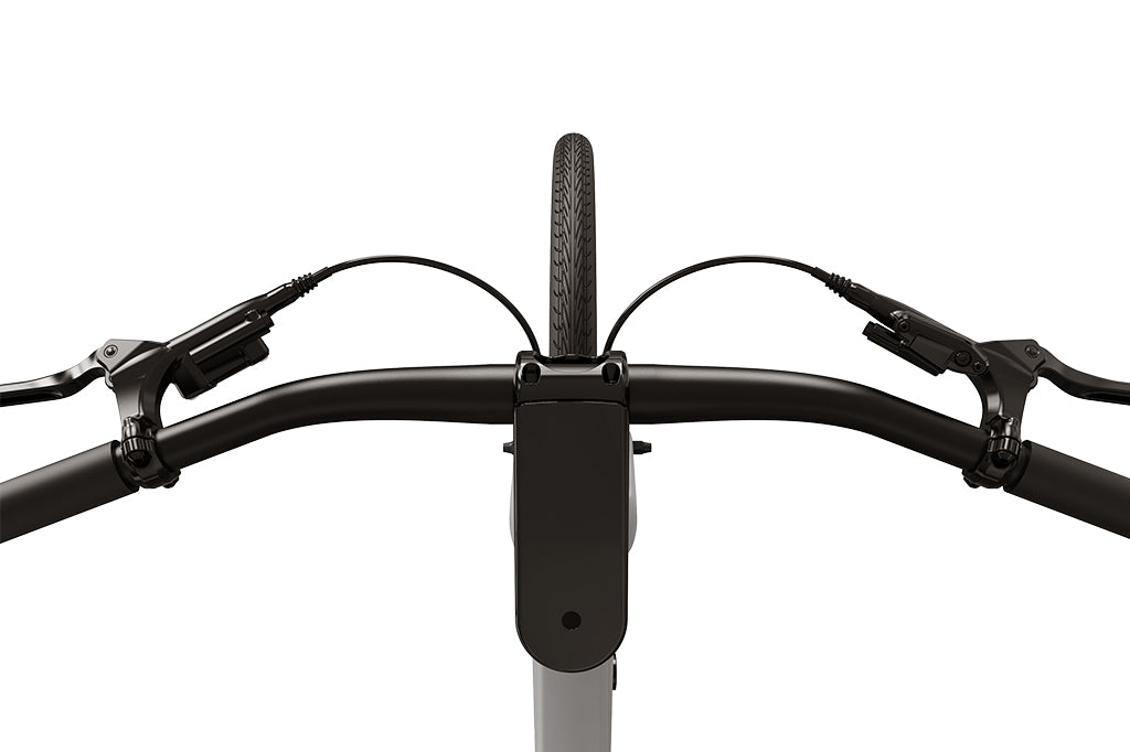 FD Eden Step-Thru Elektrofahrrad | UL-zertifiziert