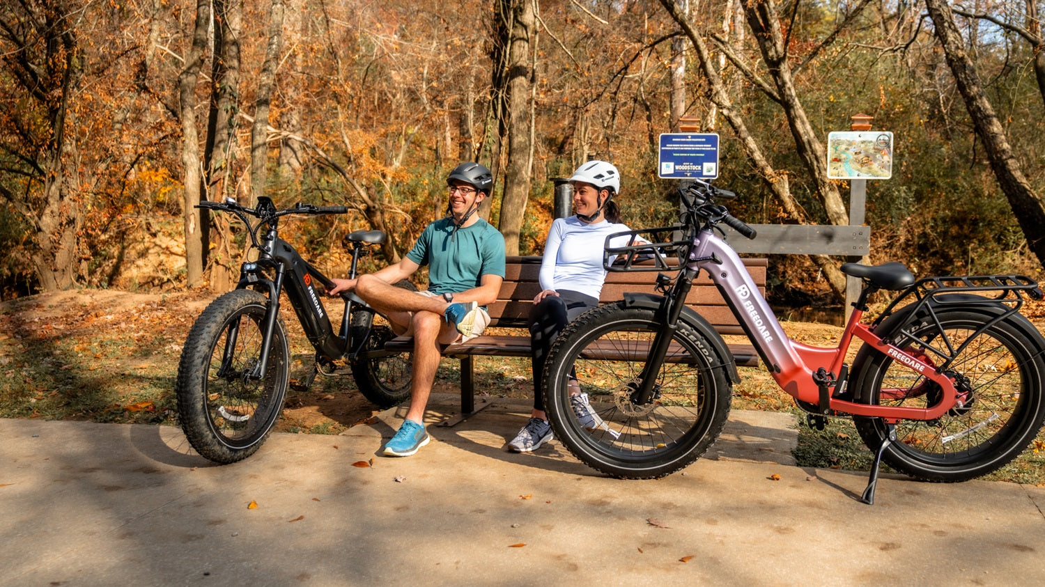 Freedare_fat_tire_electric_bike_for_adult.jpg
