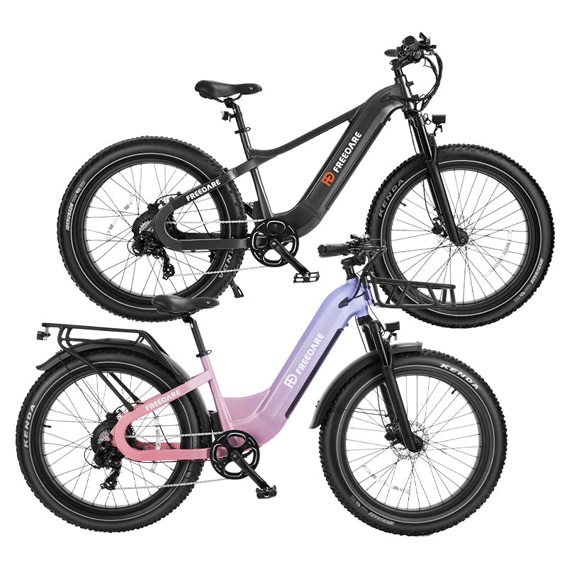 FD-Bike-Paket – Saiga + Eden Fat Tire Elektrofahrrad (mit Gratisgeschenk)