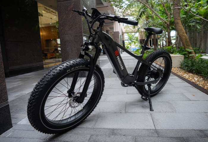 Freedare Saiga E-Bike